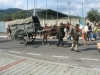 foto_0241