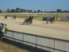 2013-08-17-16-36-29
