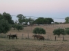 2013-08-17-19-15-38