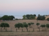 2013-08-17-19-16-00