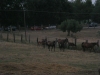 2013-08-17-19-16-19