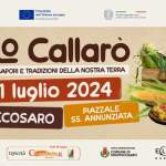 2024 (98)