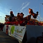 CARNEVALE TRODICA (10)