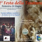 Festa Tosatura