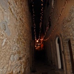 DSCN3523