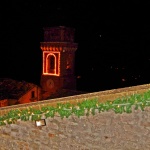 DSCN3544