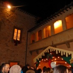 DSCN3550