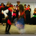 FESTA DELL'OLIO (51)