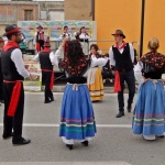 gruppo (67)