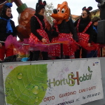 Carnevale Monte San Giusto (15)