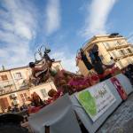 Carnevale Monte San Giusto (38)