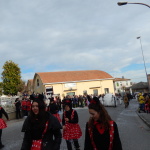 Carnevale Monte San Giusto (6)