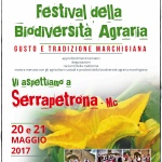 serrapetrona